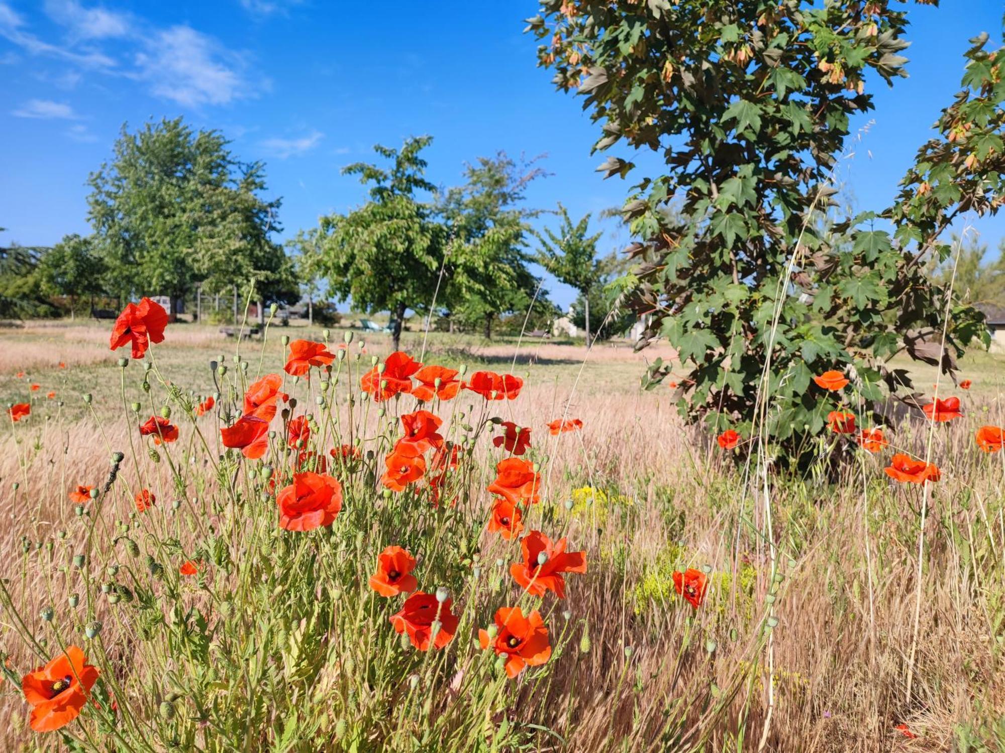 Le Clos Champetre Longue Екстер'єр фото