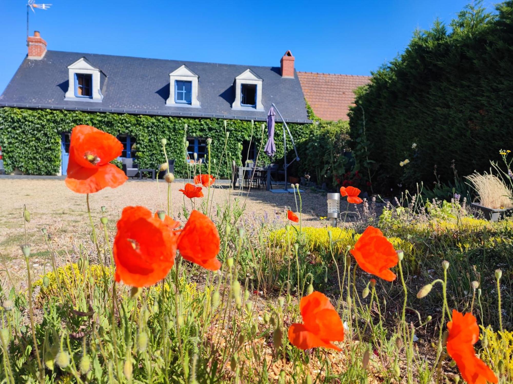 Le Clos Champetre Longue Екстер'єр фото